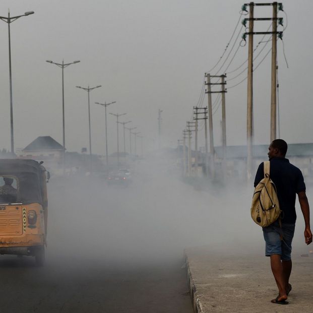 Las 10 amenazas de la salud mundial (web OMS) Las 10 amenazas de la salud mundial (web OMS)