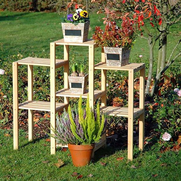 Cambia tu planta de maceta para recuperarla después de las vacaciones Cambia tu planta de maceta para recuperarla después de las vacaciones