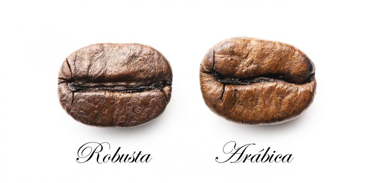 Cómo comprar, elegir y preparar el mejor café en grano 