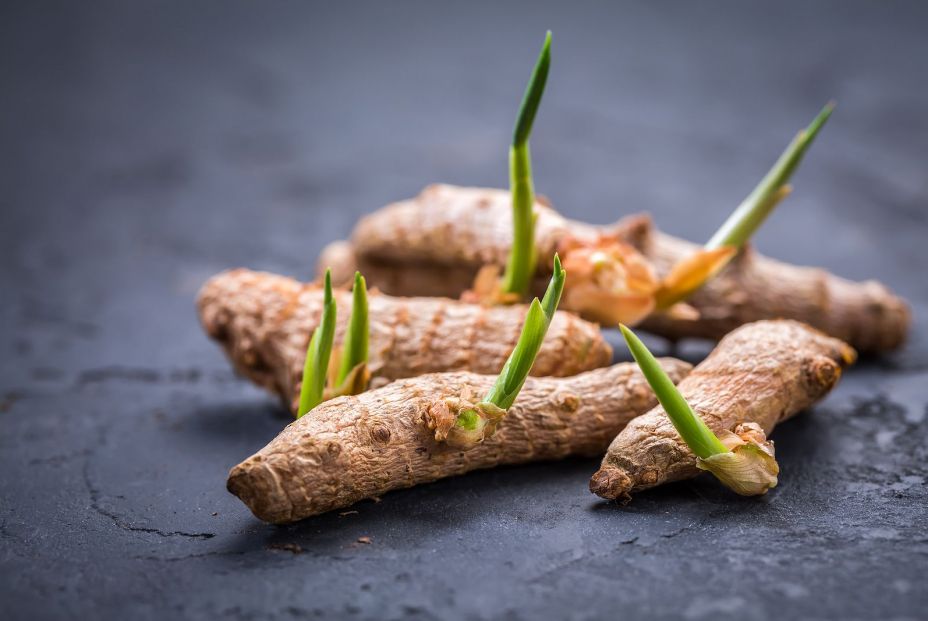 6 beneficios de la cúrcuma que te sorprenderán 6 beneficios de la cúrcuma que te sorprenderán