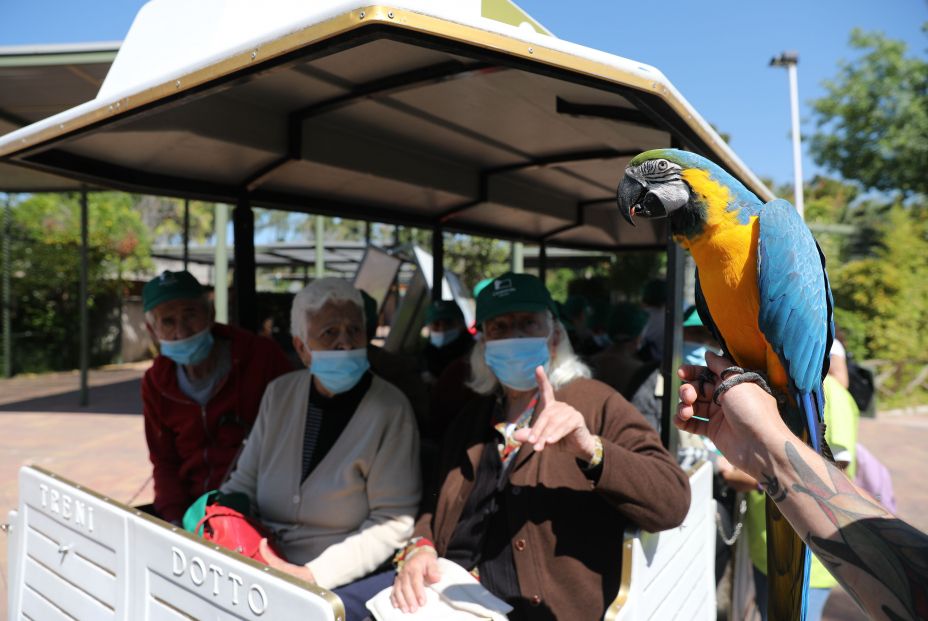 EuropaPress 3687381 varios ancianos residencias grupo casaverde navalcarnero madrid observan EuropaPress 3687381 varios ancianos residencias grupo casaverde navalcarnero madrid observan