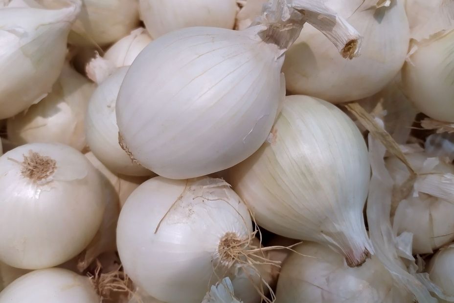 bigstock White Onion Fresh White Onion 400140977 bigstock White Onion Fresh White Onion 400140977