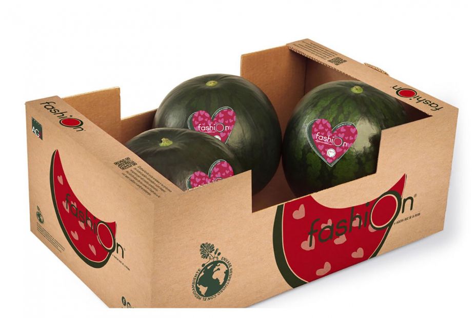 sandia fashion 01 sandia fashion 01