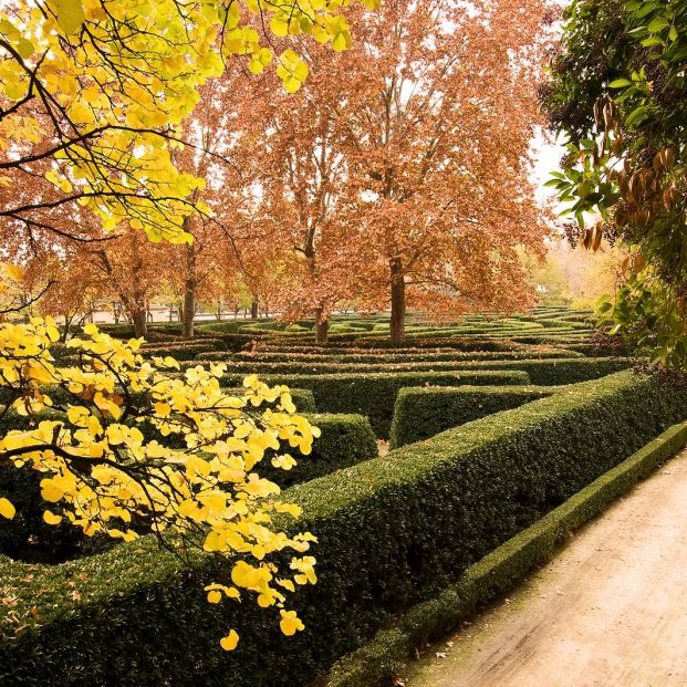 bigstock Garden El capricho MadridS 9868220