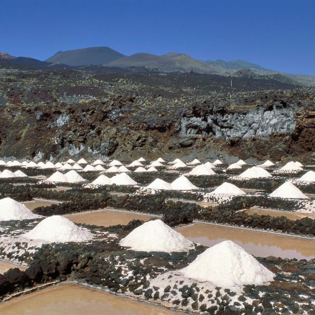 Astroturismo: las mejores rutas para ver las estrellas en La Palma Foto: bigstock