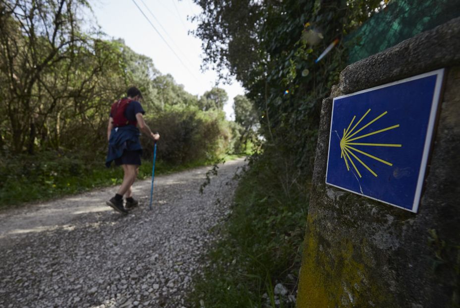 Nunca pierdas de vista la indicación amarilla del Camino de Santiago y no te aventures por sendas no señalizadas Nunca pierdas de vista la indicación amarilla del Camino de Santiago y no te aventures por sendas no señalizadas