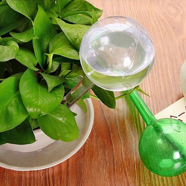 Globos de agua Amazon