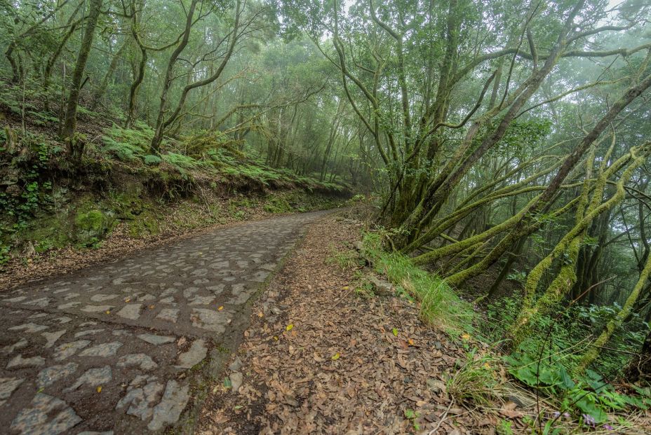 Damos una vuelta al mundo sin salir de nuestro país: Garajonay