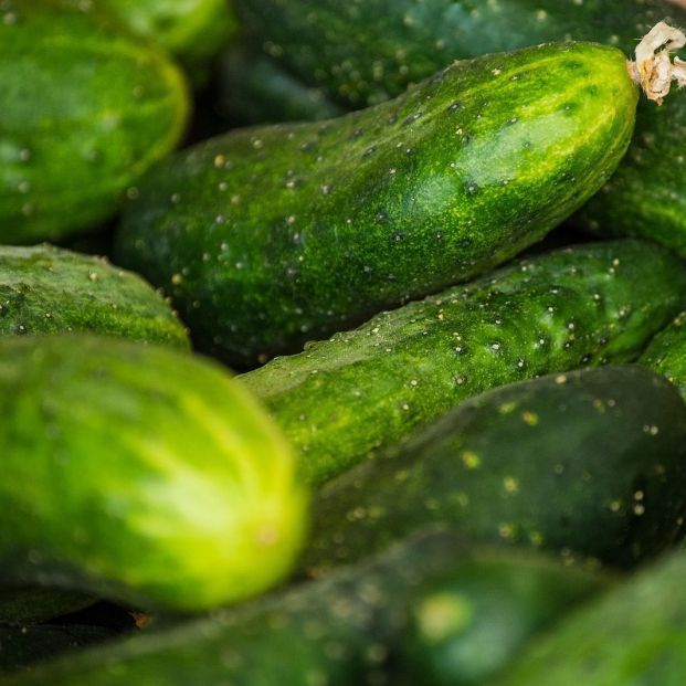 Esto es lo que le pasa a tu cuerpo si comes pepino todos los días