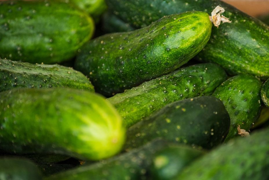 Alimentos para hidratarnos en verano de manera natural: pepino