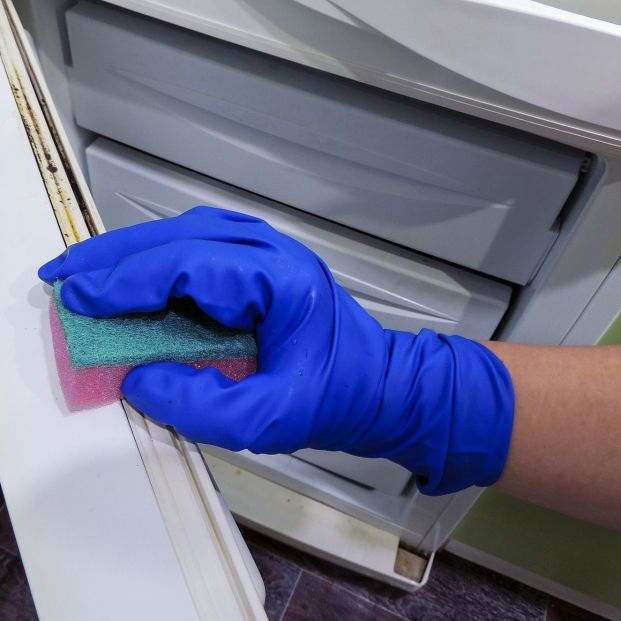 Pasta de dientes y vinagre para limpiar las gomas de la puerta de la nevera Foto: bigstock