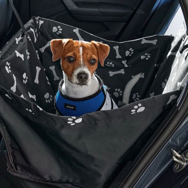 Protege a tu perro del calor con estos sorprendentes utensilios de Lidl 3 (Foto-Lidl)