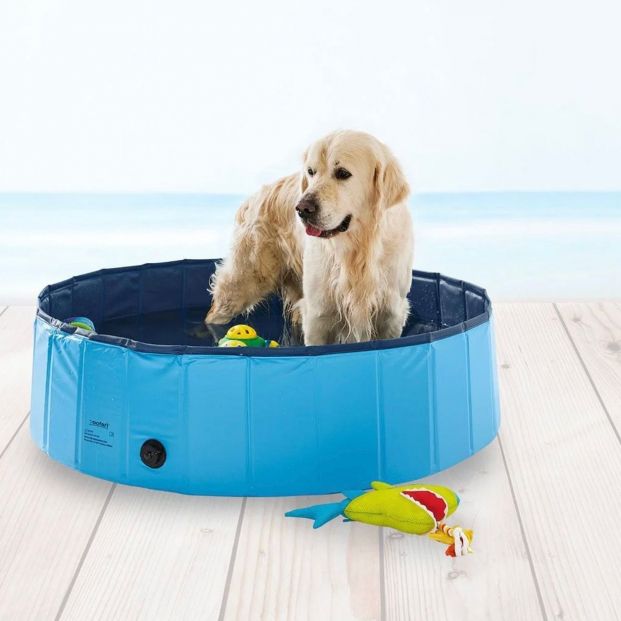 Protege a tu perro del calor con estos sorprendentes utensilios de Lidl 4 (Foto-Lidl)