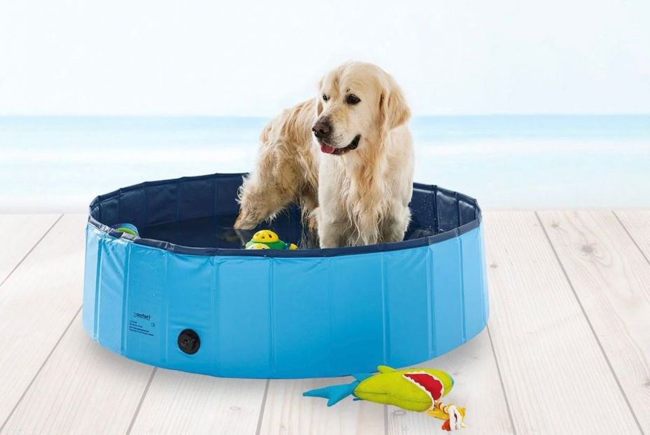 Protege a tu perro del calor con estos sorprendentes utensilios de Lidl 4 (Foto-Lidl)