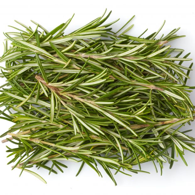 bigstock Bunch fresh rosemary top view412230502 bigstock Bunch fresh rosemary top view412230502