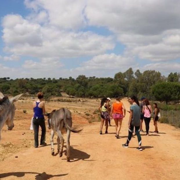Santuario la Candela 