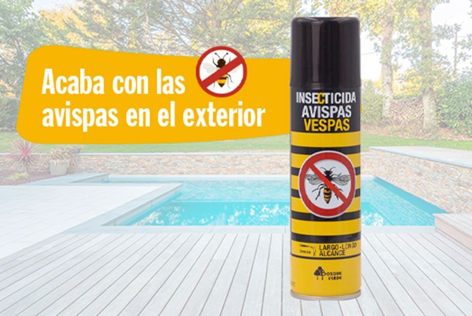 El eficaz spray contra las avispas de Mercadona: úsalo así y no te volverán a molestar El eficaz spray contra las avispas de Mercadona: úsalo así y no te volverán a molestar