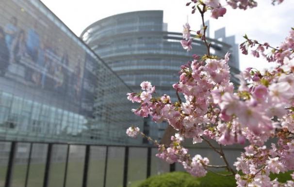 Una mujer gitana demanda a España en el Tribunal de Estrasburgo por denegarle la pensión de viudedad. Foto: Europa Press Una mujer gitana demanda a España en el Tribunal de Estrasburgo por denegarle la pensión de viudedad. Foto: Europa Press