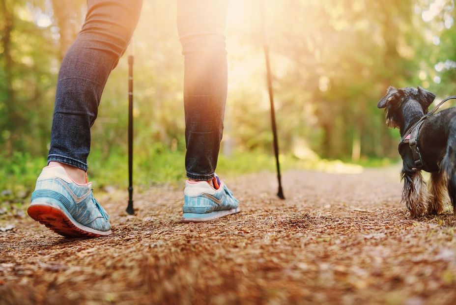 Te contamos unos trucos para sobrevivir sin café Te contamos unos trucos para sobrevivir sin café