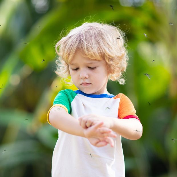 Estos consejos te ayudarán a mantener a los mosquitos y sus picaduras alejados el resto del verano. foto: Bigstock Estos consejos te ayudarán a mantener a los mosquitos y sus picaduras alejados el resto del verano. foto: Bigstock