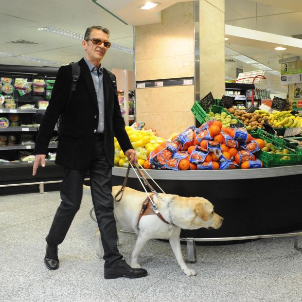 Un estudio revela que los ciegos pueden entender el color de igual forma que las personas videntes. Foto: Europa Press Un estudio revela que los ciegos pueden entender el color de igual forma que las personas videntes. Foto: Europa Press