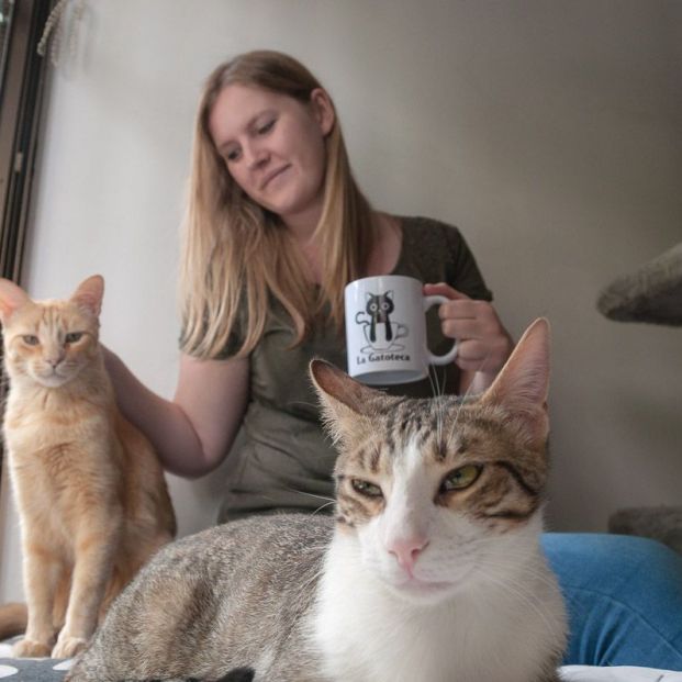 Cafeterías con gatos (https://www.lagatoteca.es/) Cafeterías con gatos (https://www.lagatoteca.es/)