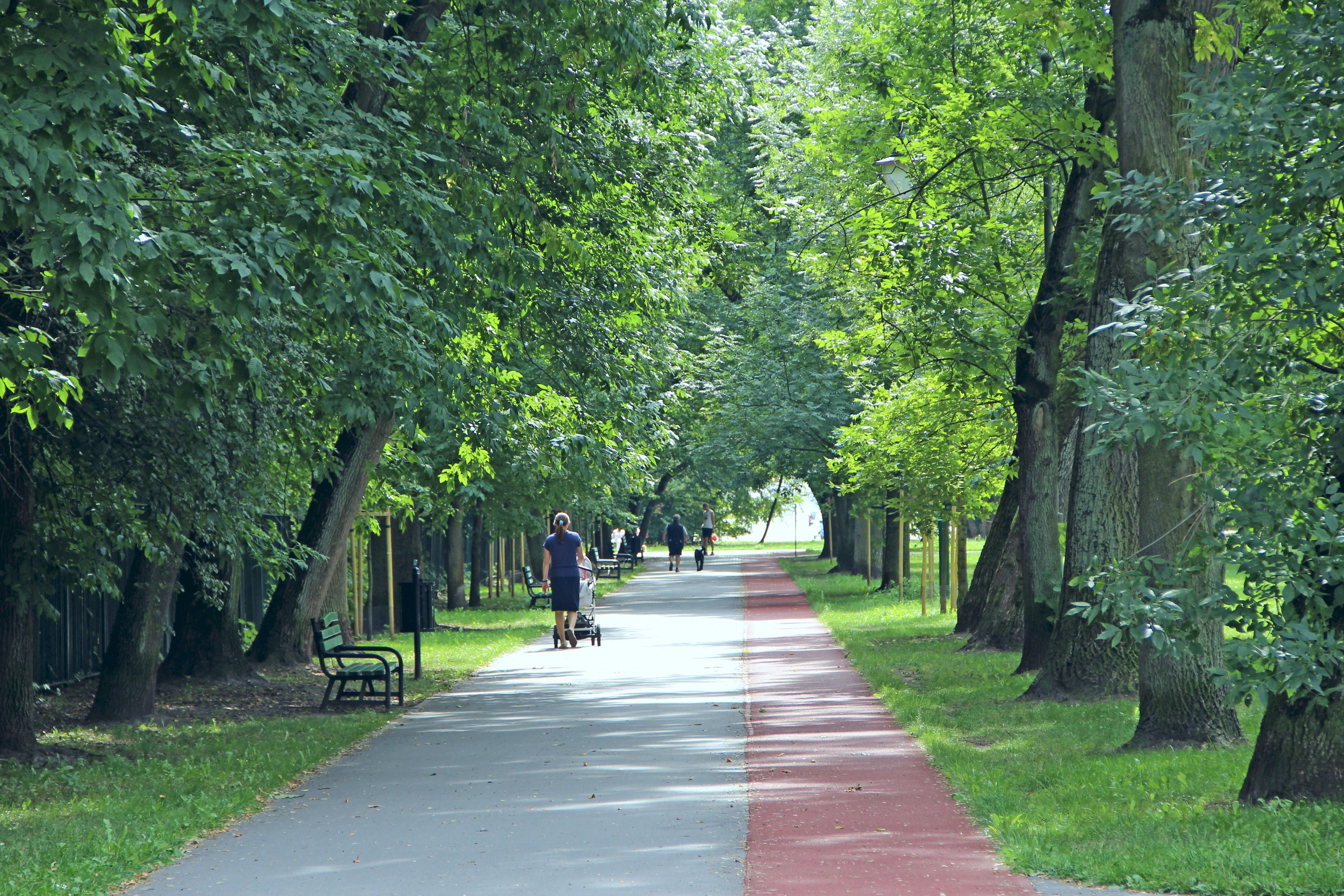 Aumentan los robos a personas mayores con el método del "abrazo"