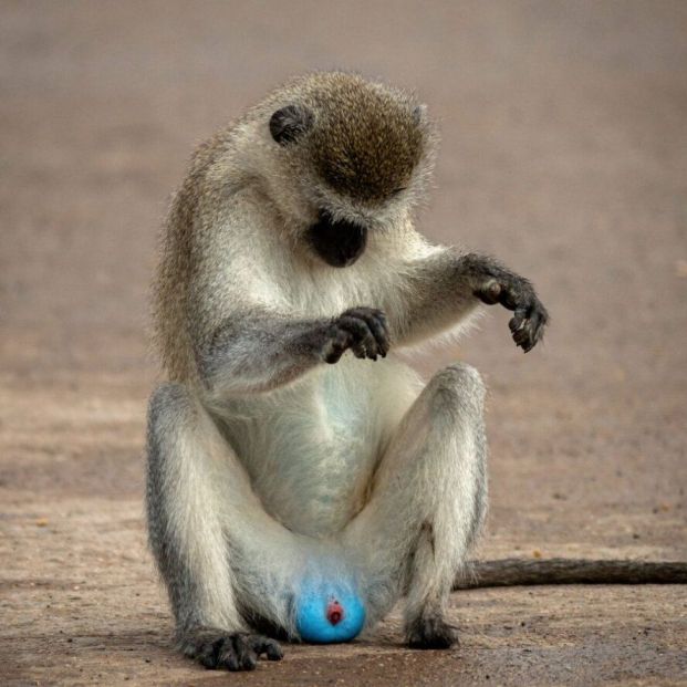 concurso fotografía concurso fotografía