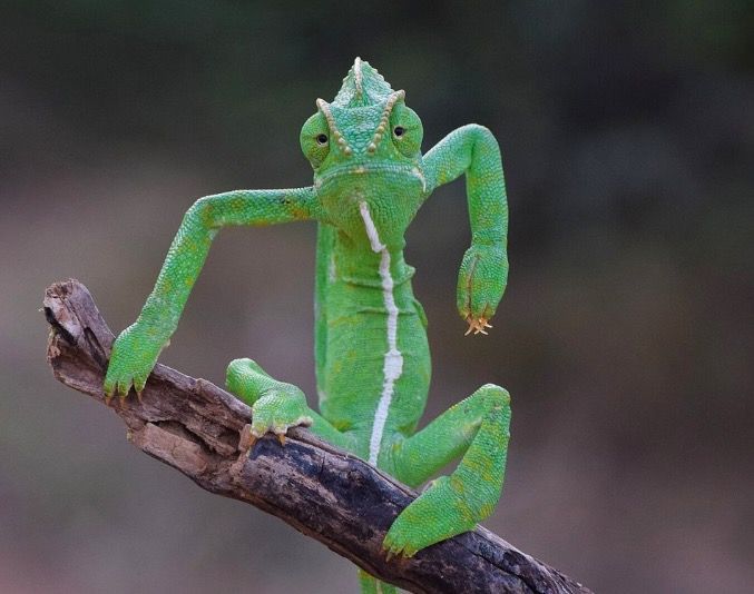 Captura de pantalla 2021 09 03 a las 15.33.04 Captura de pantalla 2021 09 03 a las 15.33.04