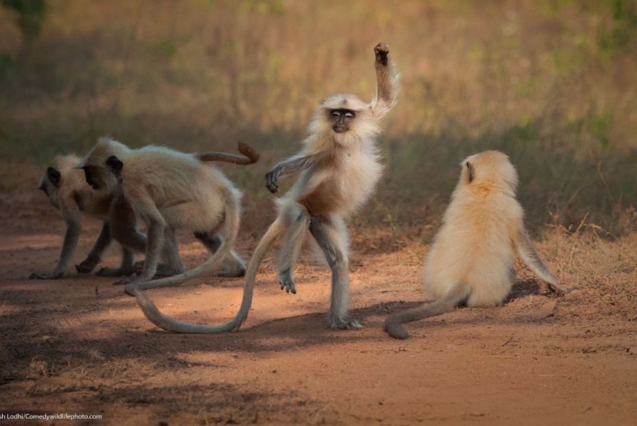 Captura de pantalla 2021 09 03 a las 15.36.32 Captura de pantalla 2021 09 03 a las 15.36.32