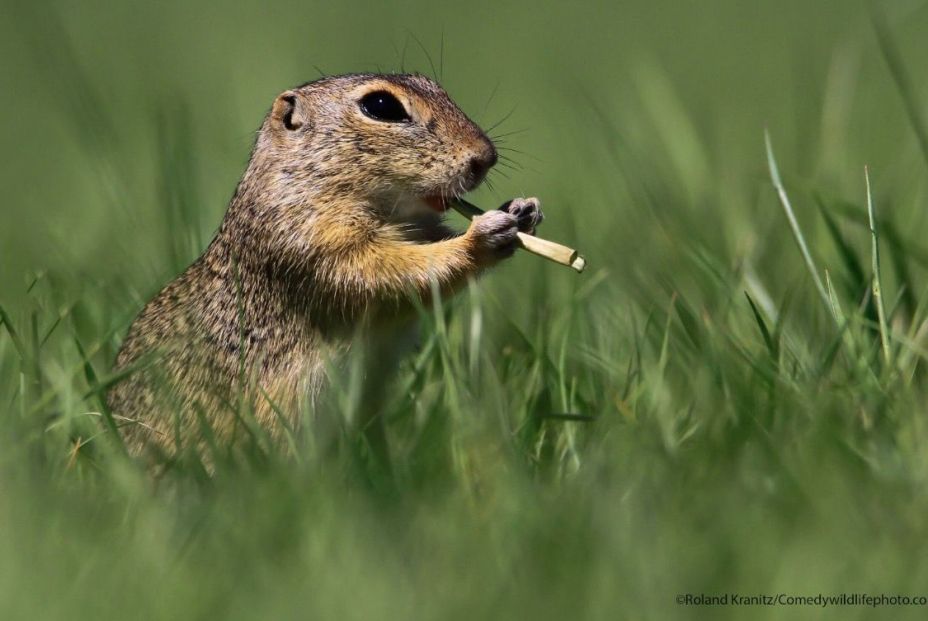 Captura de pantalla 2021 09 03 a las 15.36.58 Captura de pantalla 2021 09 03 a las 15.36.58