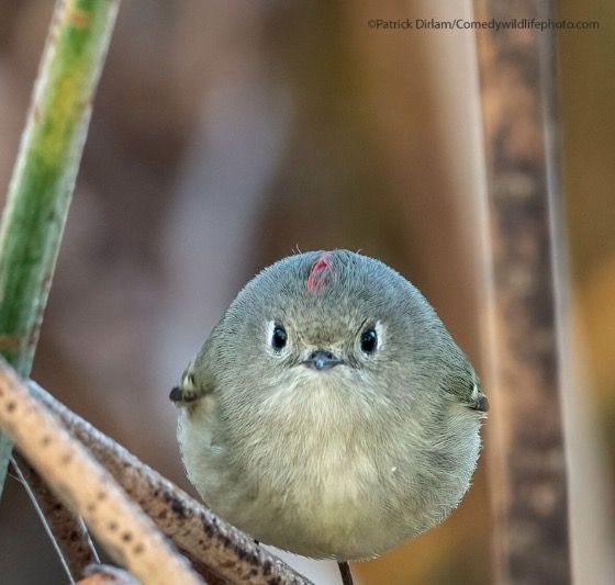 Captura de pantalla 2021 09 03 a las 15.37.50 Captura de pantalla 2021 09 03 a las 15.37.50