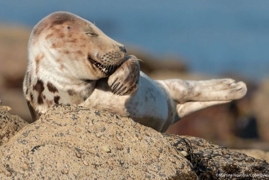 Captura de pantalla 2021 09 03 a las 15.38.31 Captura de pantalla 2021 09 03 a las 15.38.31