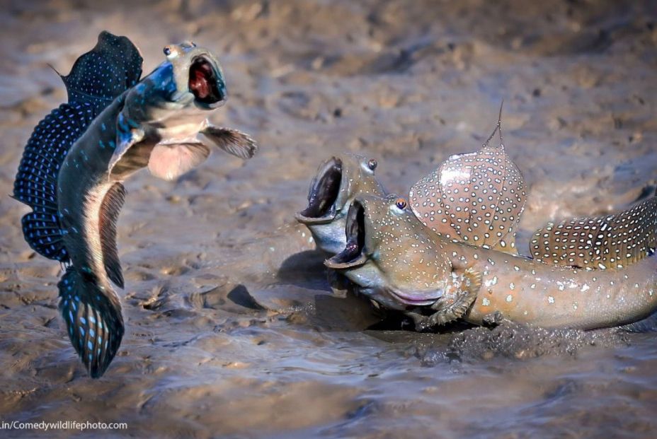 Captura de pantalla 2021 09 03 a las 15.39.42 Captura de pantalla 2021 09 03 a las 15.39.42