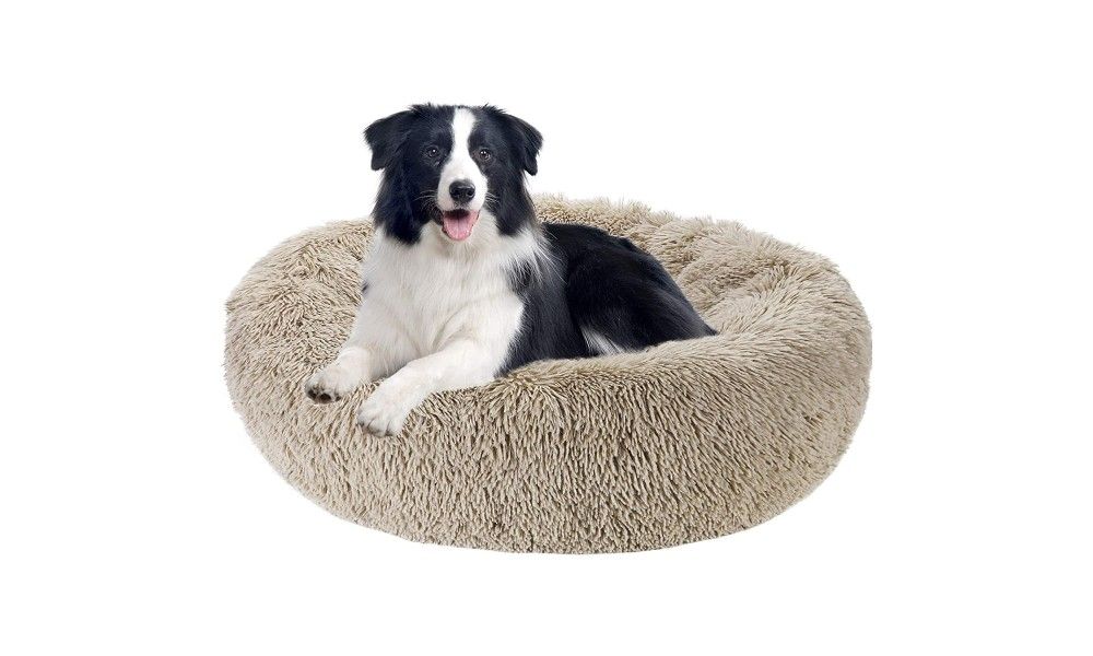 6 G.C Cama Antiestres Perro