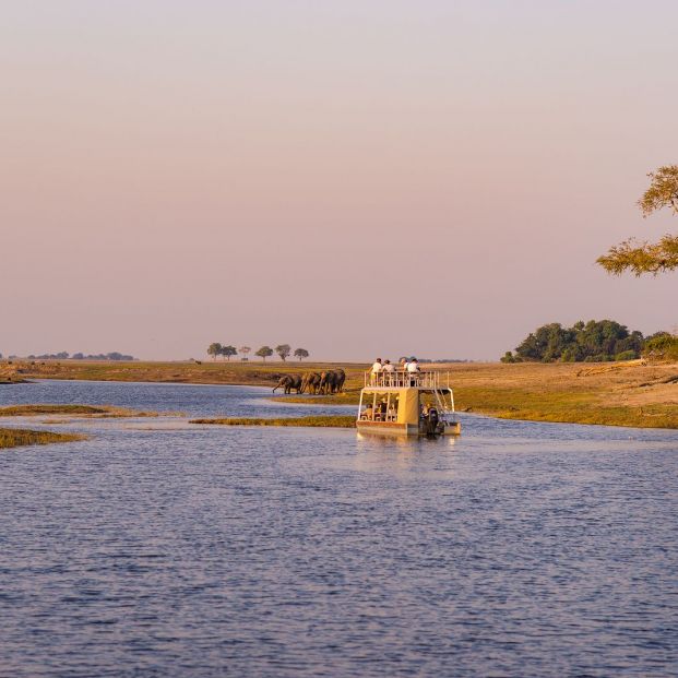 Crucero por uno de los meandros del río Chobe (bigstockphoto) Crucero por uno de los meandros del río Chobe (bigstockphoto)