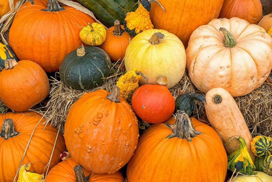En septiembre estas son las verduras de temporada para llenar tu nevera: calabaza En septiembre estas son las verduras de temporada para llenar tu nevera: calabaza