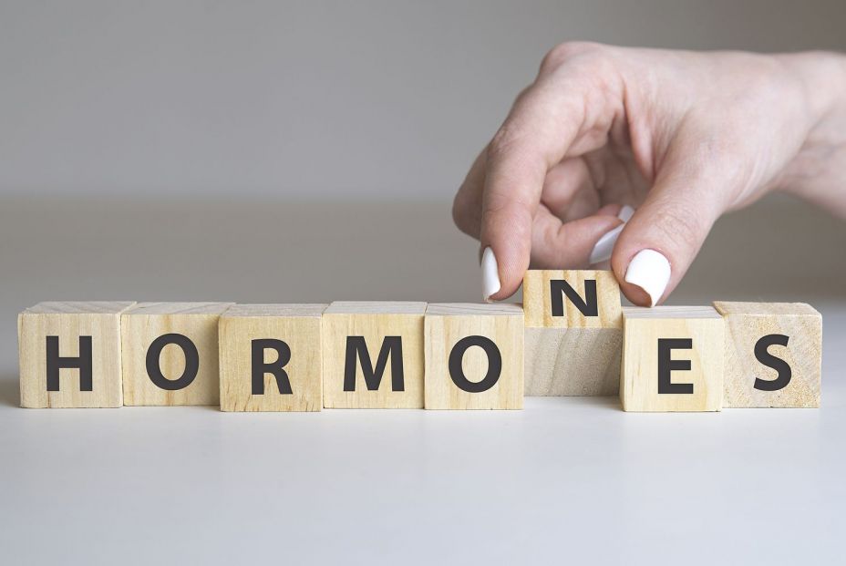 Olvídate de los sofocos con estos remedios Olvídate de los sofocos con estos remedios