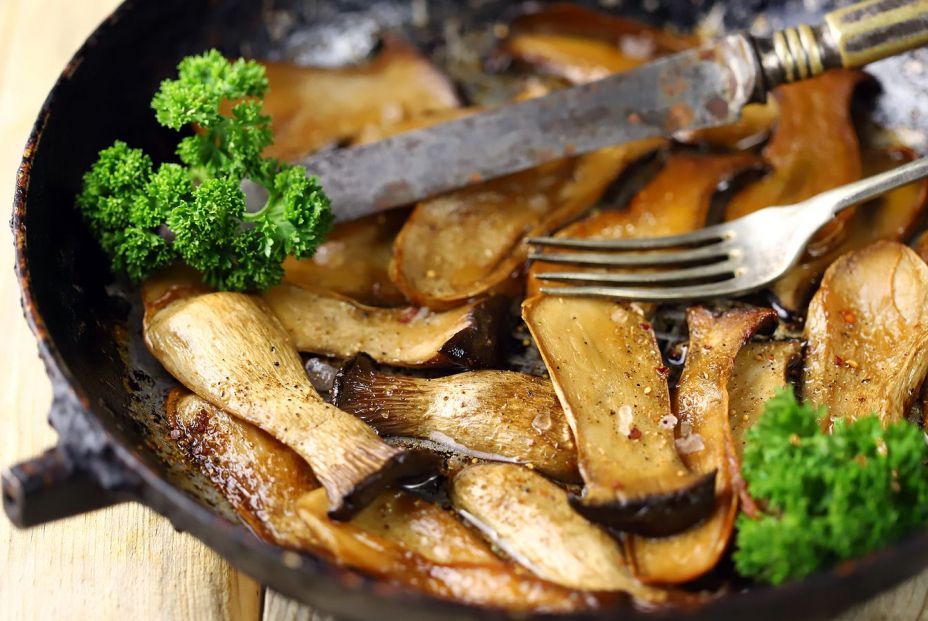 ¡Llega la temporadas de setas! Estos son sus beneficios ¡Llega la temporadas de setas! Estos son sus beneficios