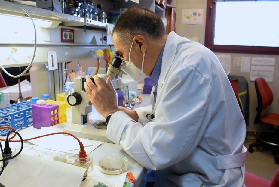 EuropaPress 3951335 miguel angel penalva laboratorio centro investigaciones biologicas EuropaPress 3951335 miguel angel penalva laboratorio centro investigaciones biologicas