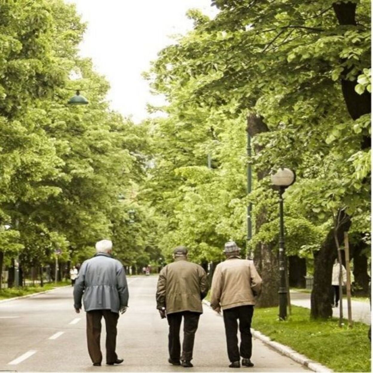 Reconocen el complemento de maternidad en la pensión a un padre jubilado