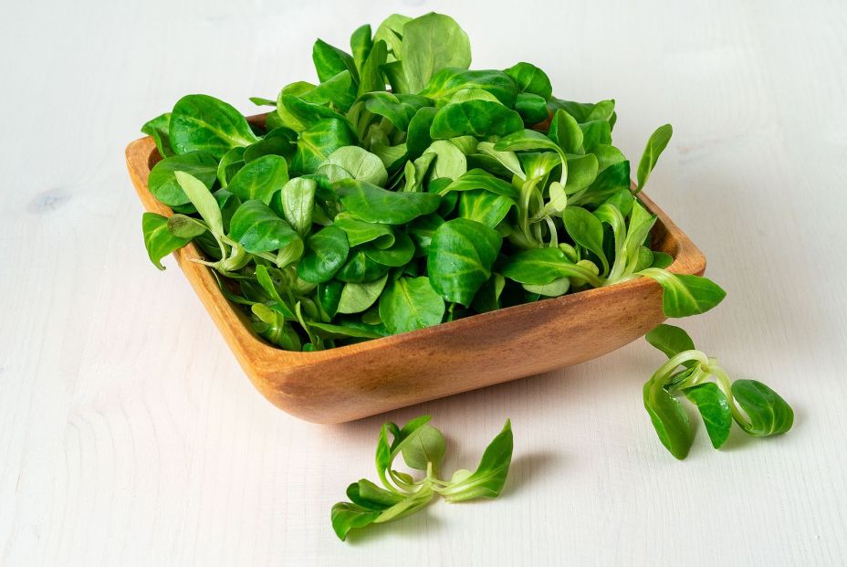 ensaladas apetecibles ensaladas apetecibles