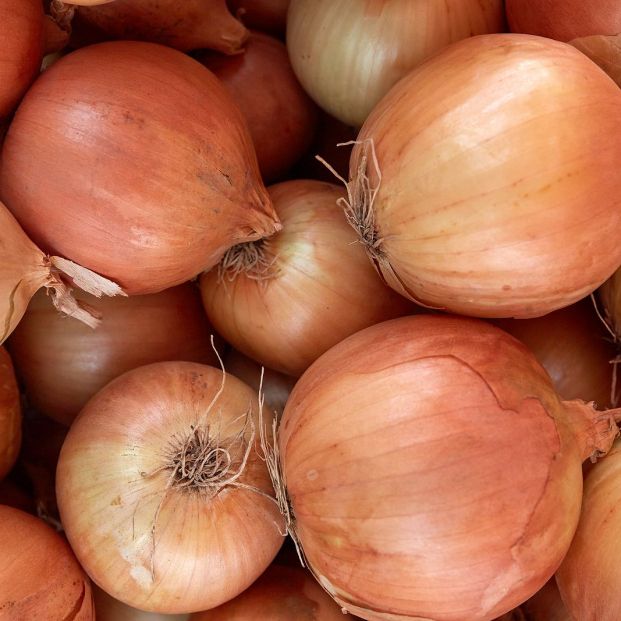 Una ensalada, ¿con cebolla amarilla o roja? foto: bigstock Una ensalada, ¿con cebolla amarilla o roja? foto: bigstock