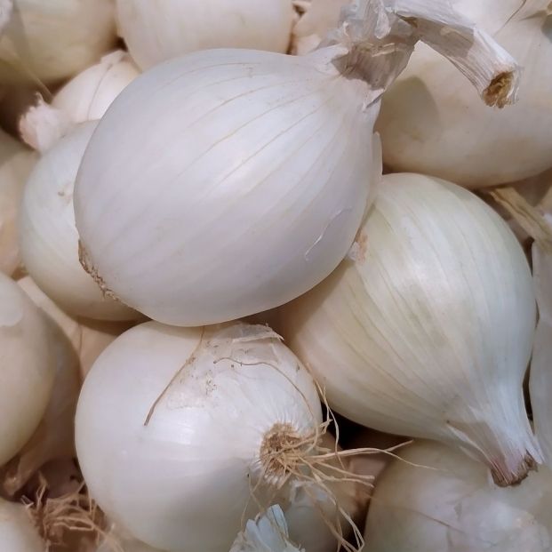 Una ensalada, ¿con cebolla amarilla o roja? foto: bigstock Una ensalada, ¿con cebolla amarilla o roja? foto: bigstock