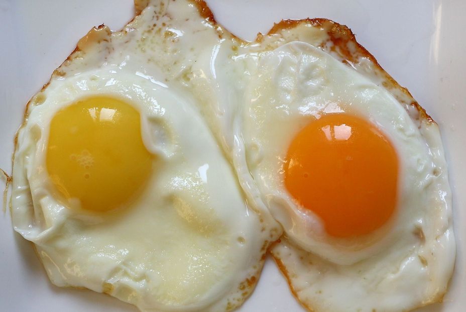 ¿Sabes por qué las yemas de los huevos tienen diferente color?