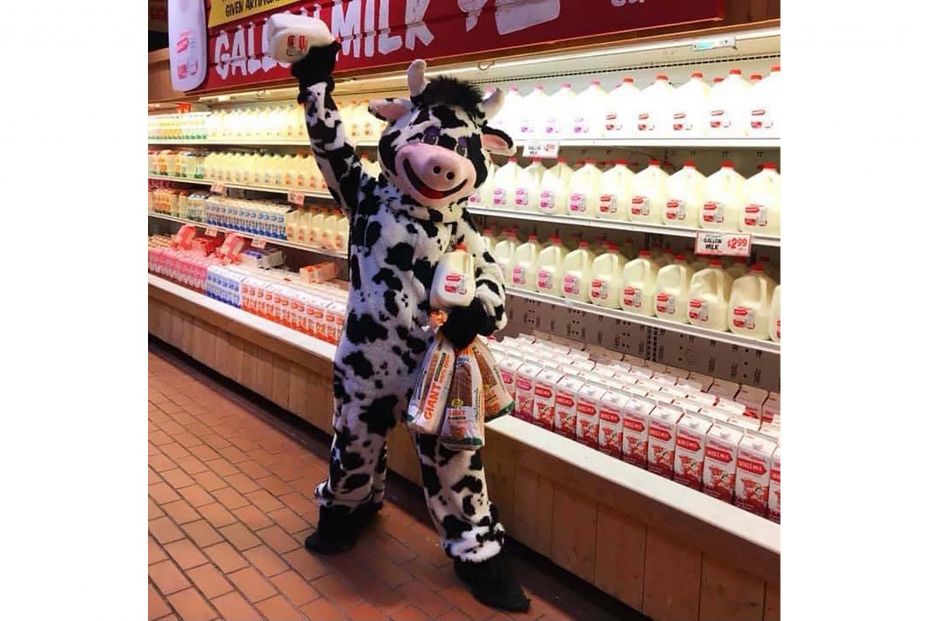 Stew Leonards lacteos Stew Leonards lacteos