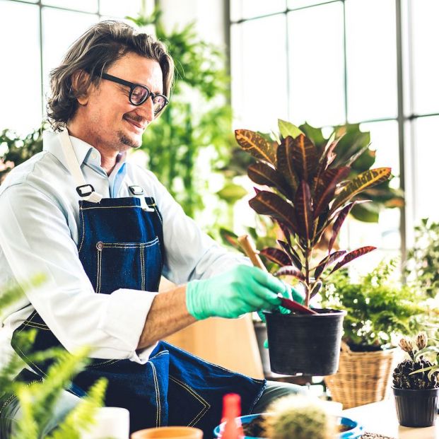 Aburrirse para crear