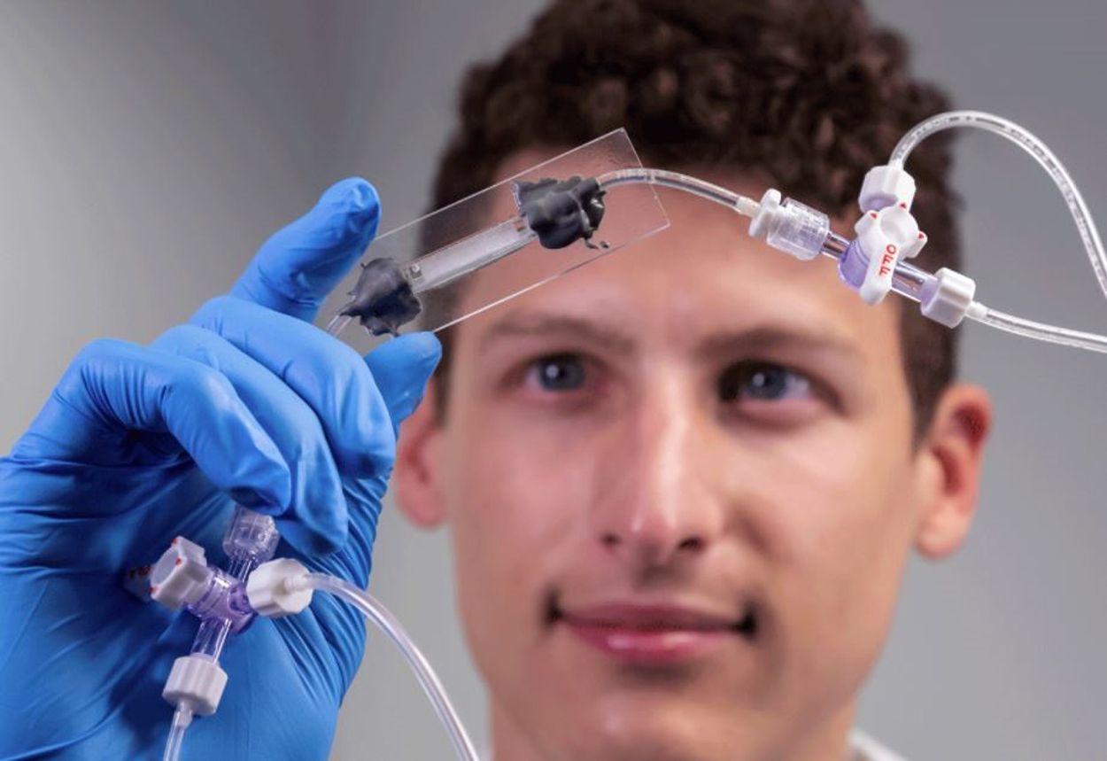 Una roca artificial fracturada ayuda a descifrar un misterio de 54 años