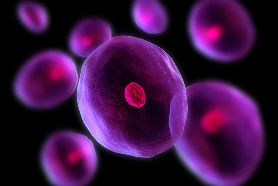 microbios tierra microbios tierra