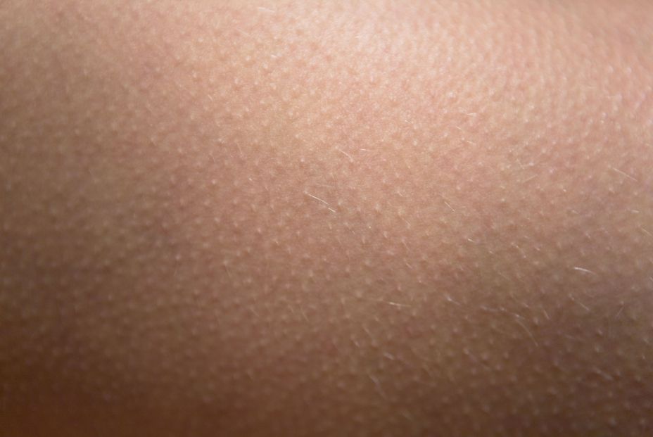 bigstock The Tender Skin Of The Female277740298